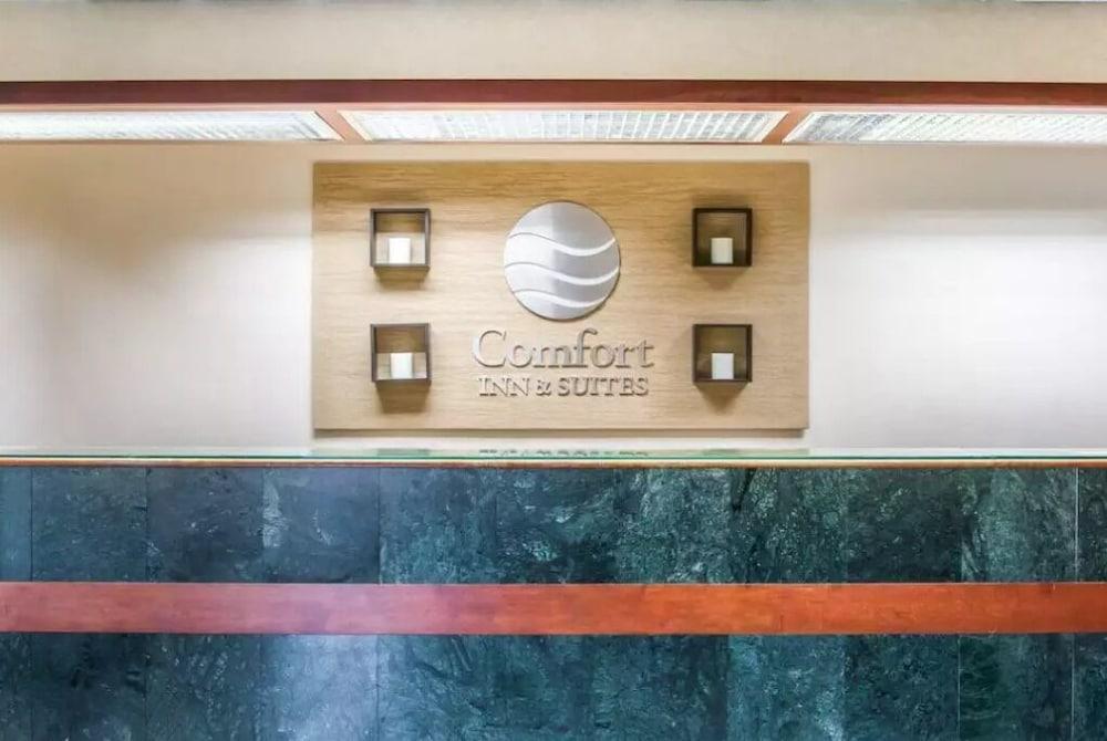 Comfort Inn & Suites Maumee - Toledo I80-90 Exteriér fotografie